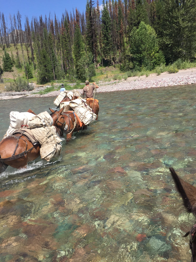 Pack Saddles