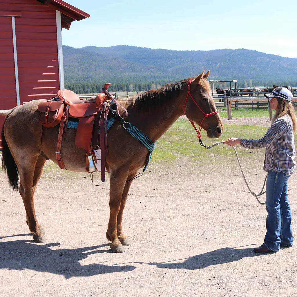 Tack & Saddle Accessories