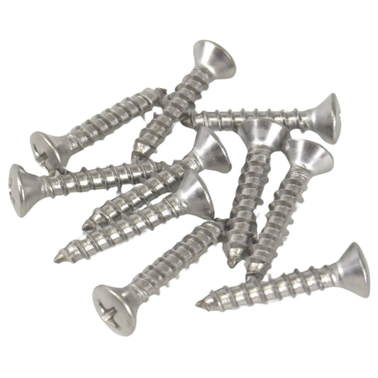 #10 Stainless Steel Saddle Screws (10 pk)