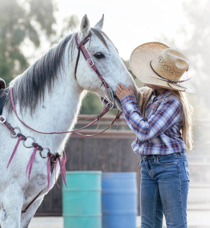 Pony Twist Browband Headstall