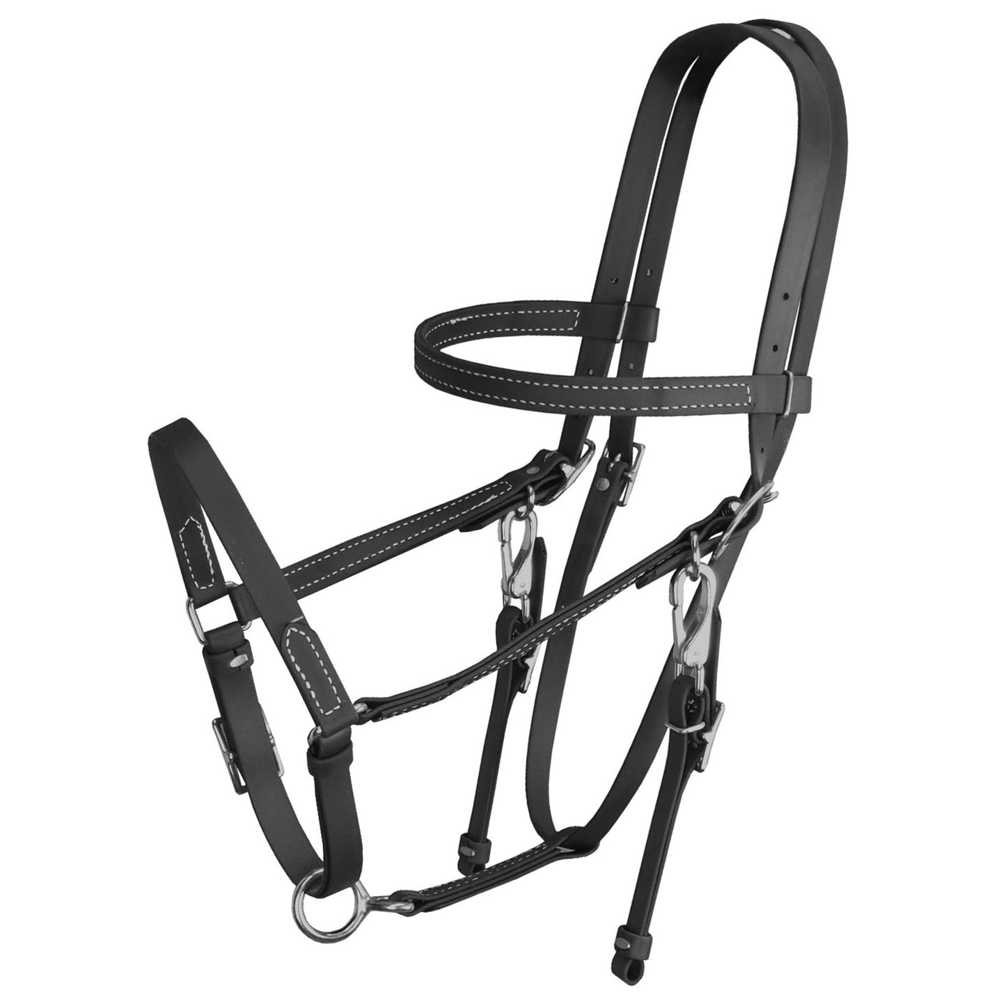 Biothane Beta Halter Bridle (Multiple Colors)