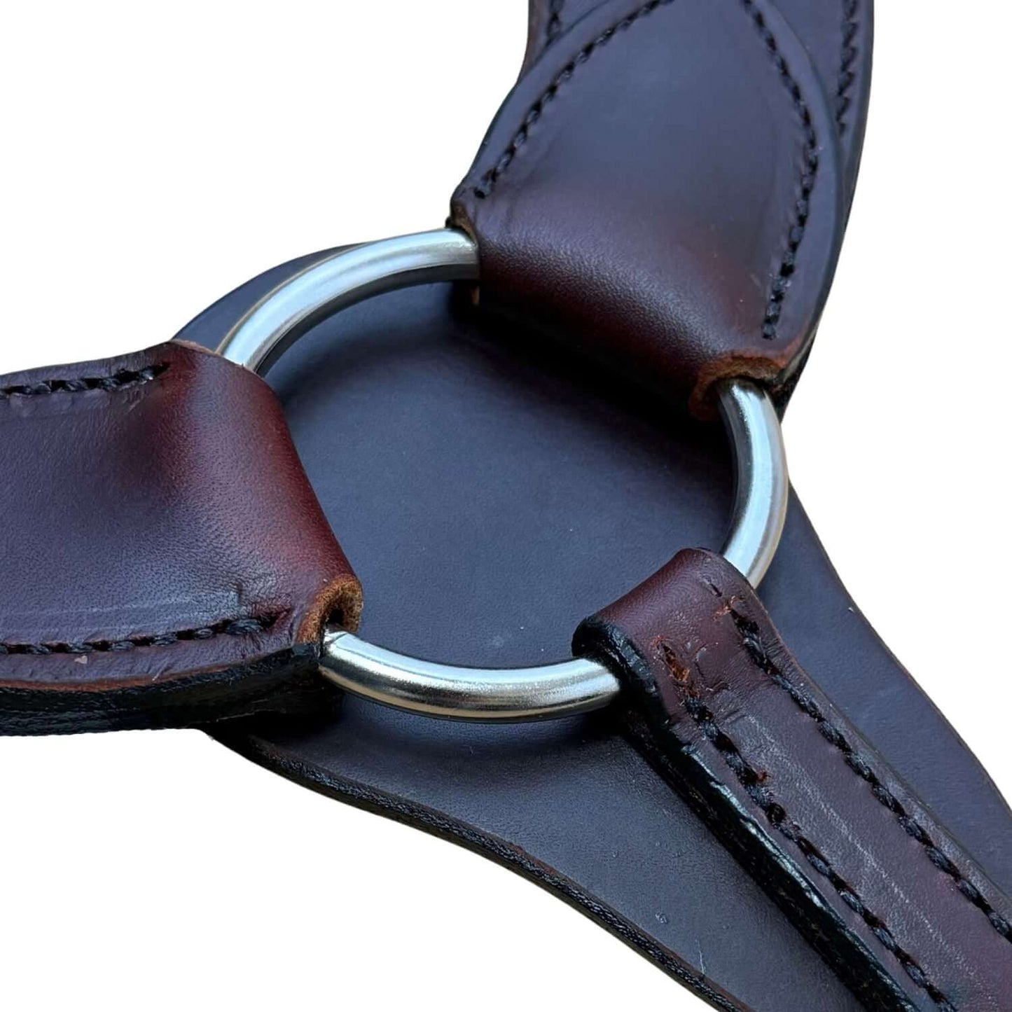 Pulling Breast Collar in Dark Oil