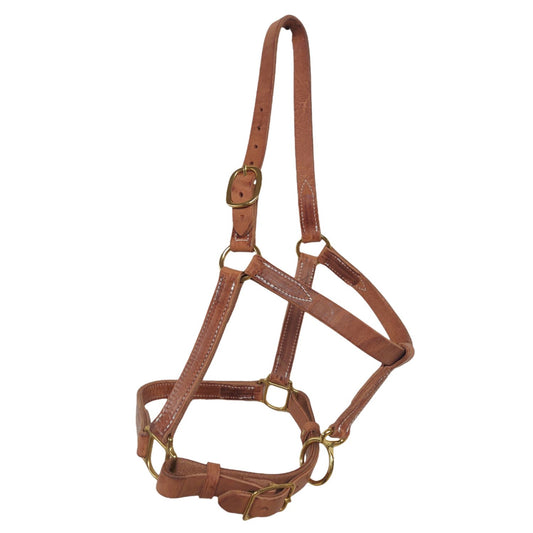 Berlin Leather Horse Halter | Hermann Oak Harness Leather Western Halter