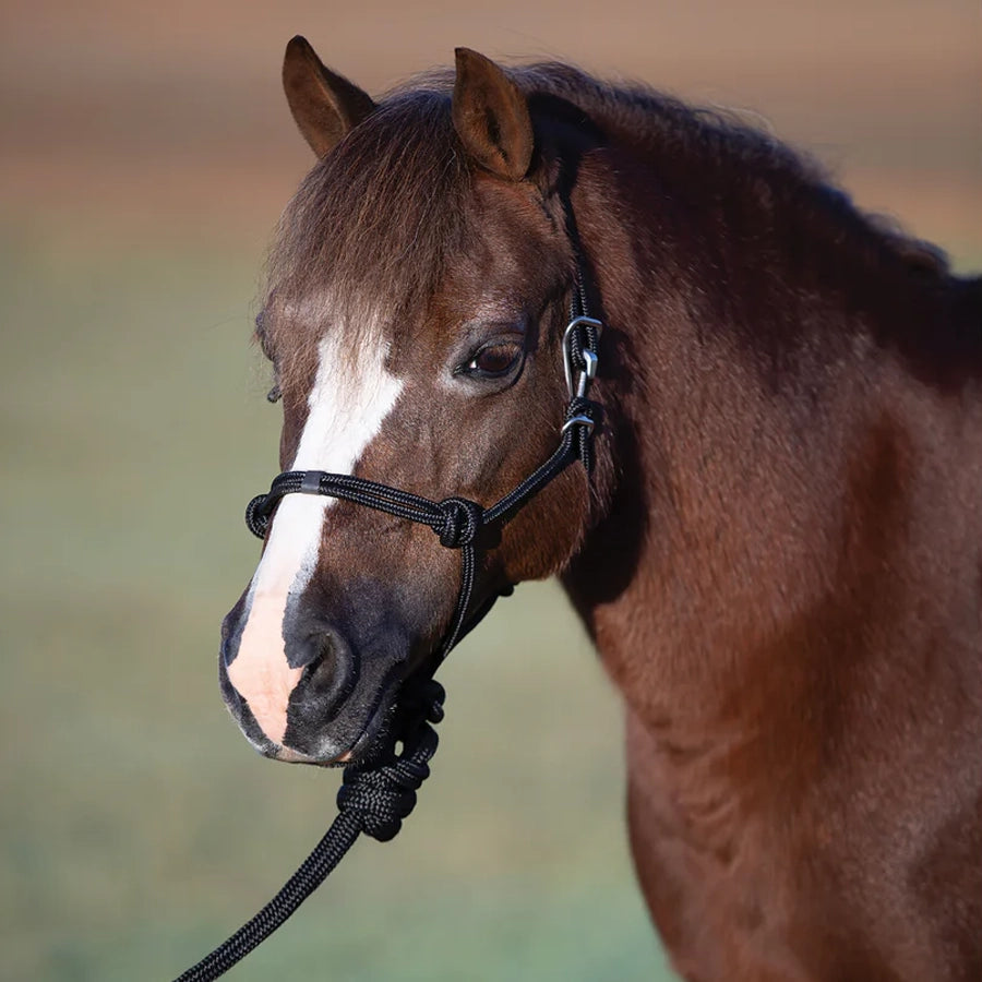 Professional's Choice Easy-On Rope Halter with Lead Rope, Pony Size (Multiple Colors)