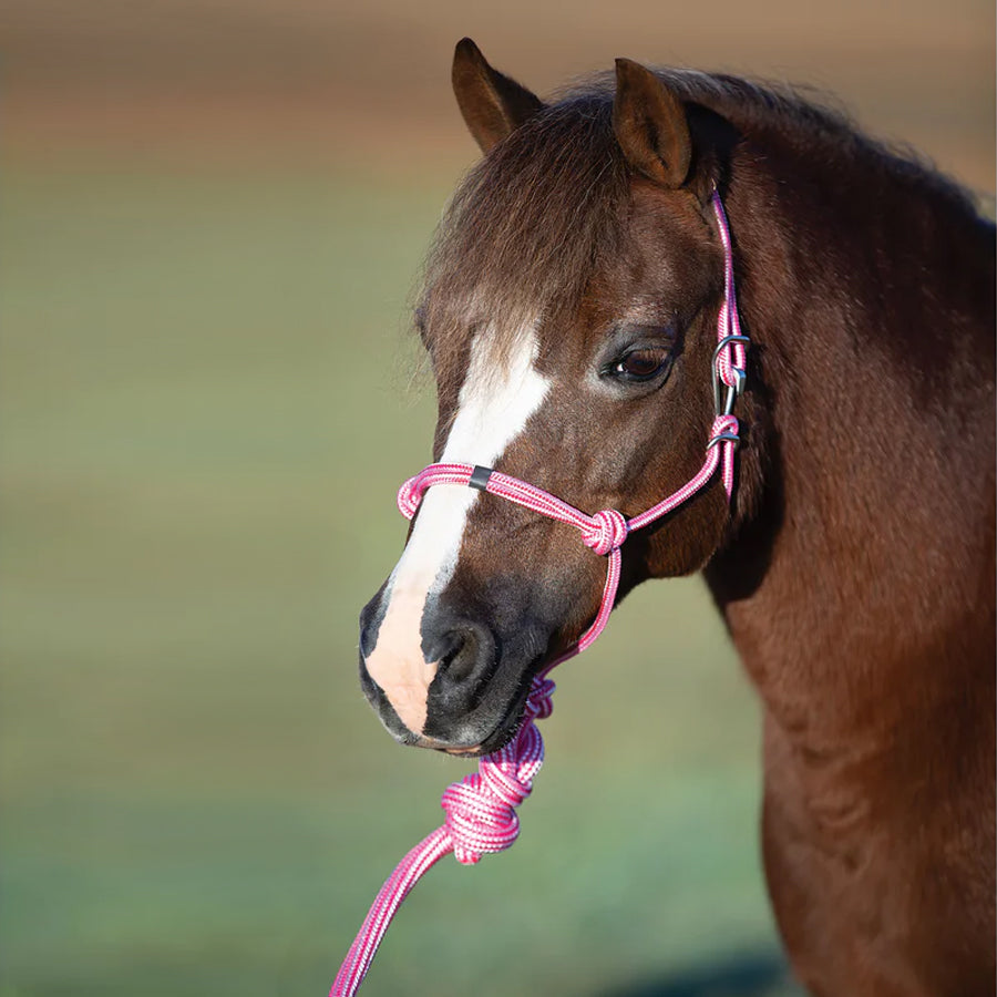 Professional's Choice Easy-On Rope Halter with Lead Rope, Pony Size (Multiple Colors)