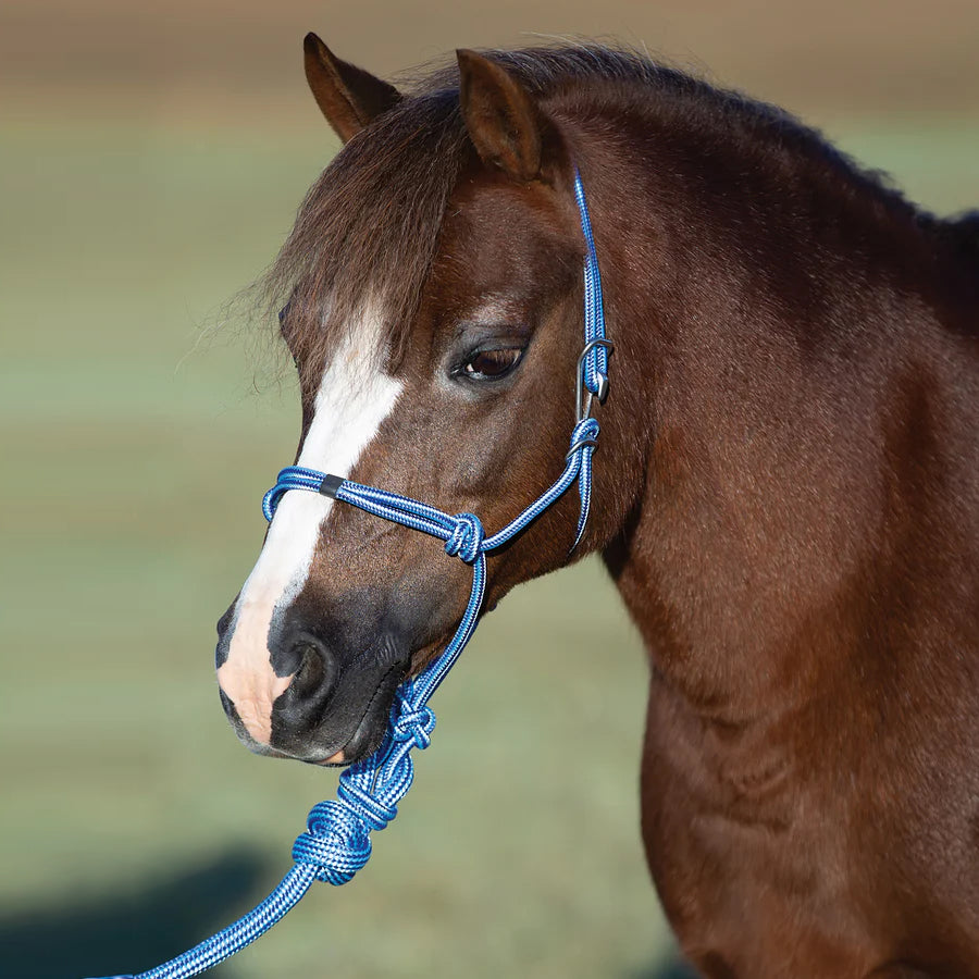 Professional's Choice Easy-On Rope Halter with Lead Rope, Pony Size (Multiple Colors)