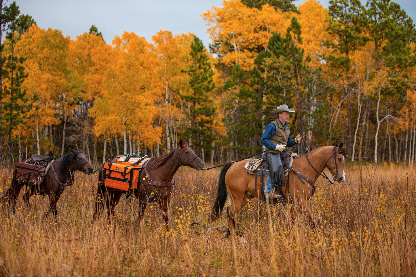 Iron Cloth Pack Panniers (Pair)