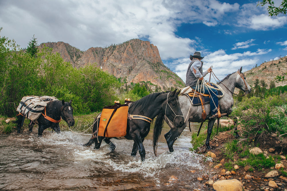 Iron Cloth Utah Pack Bags (pair)
