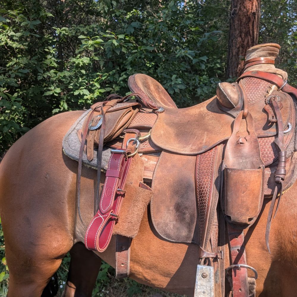 Latigo Leather Figure 8 Horse Hobbles | Handmade in Montana