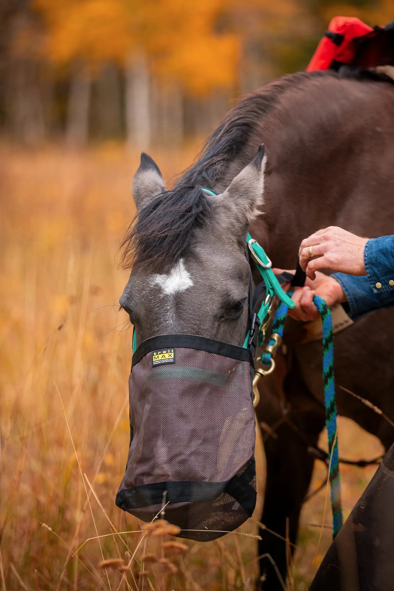 TrailMax Heavy Duty Mesh Feed Bag, Brown