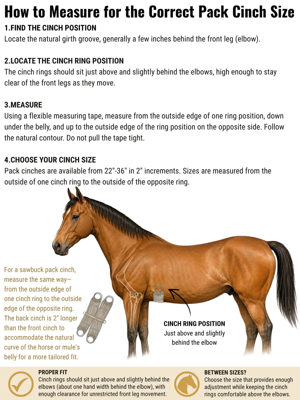 How to measure a horse or mule for the correct pack cinch size, showing proper cinch ring placement above and behind the elbow.