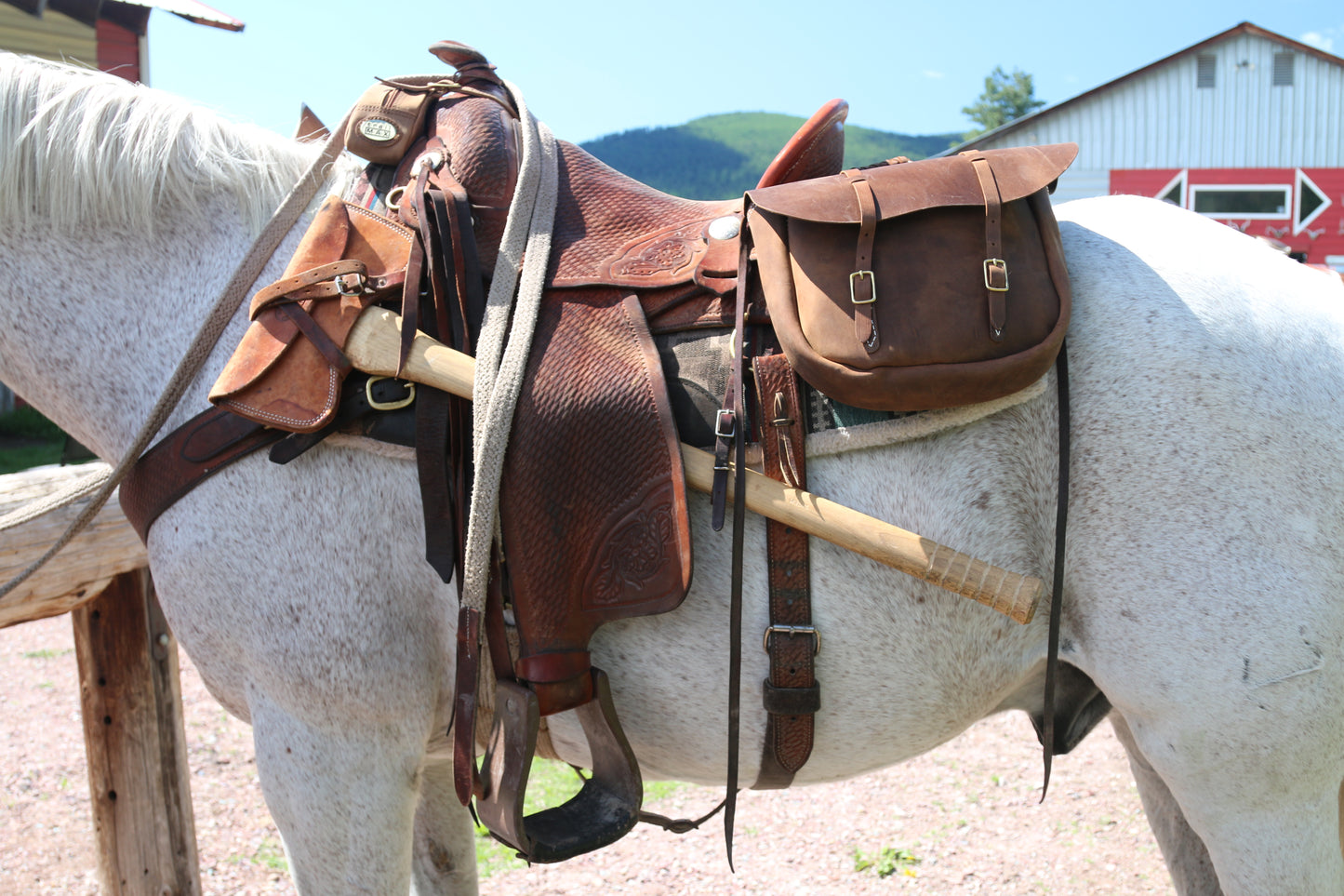 Leather Axe Sheath: Medium Double Bit