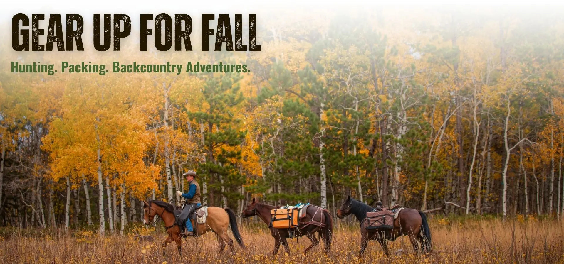 Fall backcountry scene with a rider and two pack horses carrying panniers through a golden aspen forest.