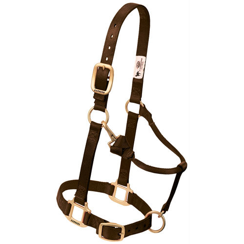 Weaver 1" Average Horse Adjustable Basic Halter (Multiple Colors)