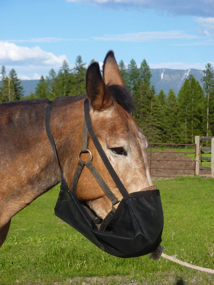 Cavalry-Style Mesh Feed Bag