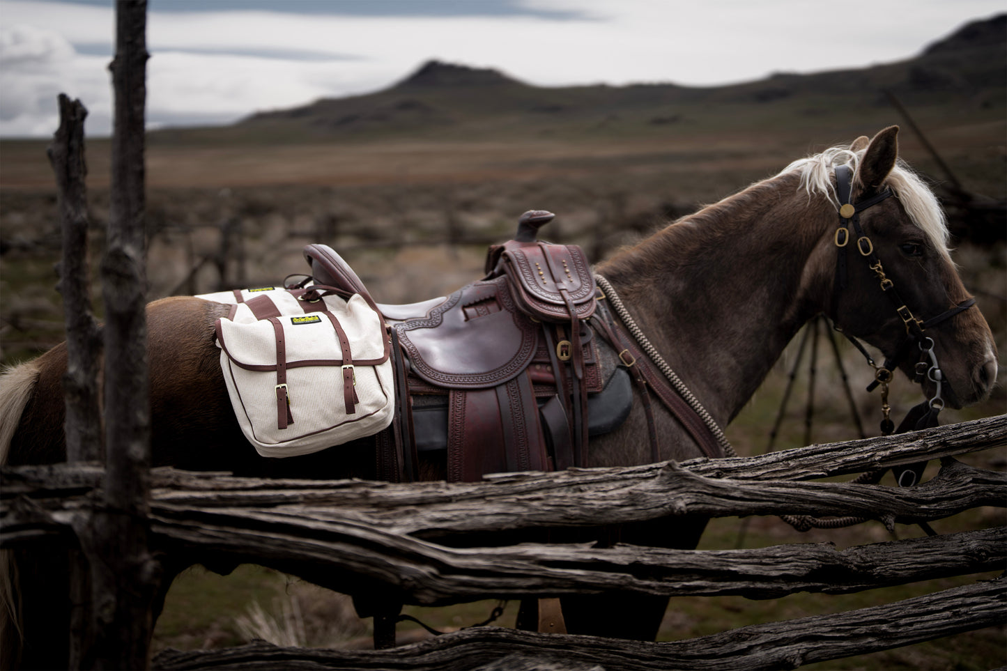 Canvas Saddlebags