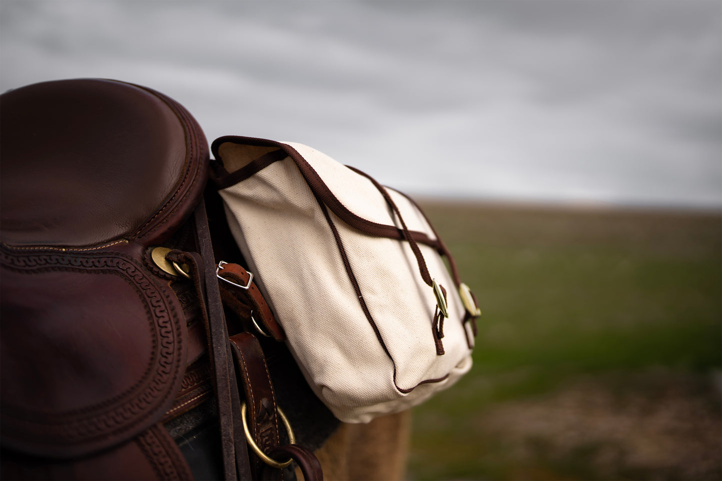 Canvas Saddlebags