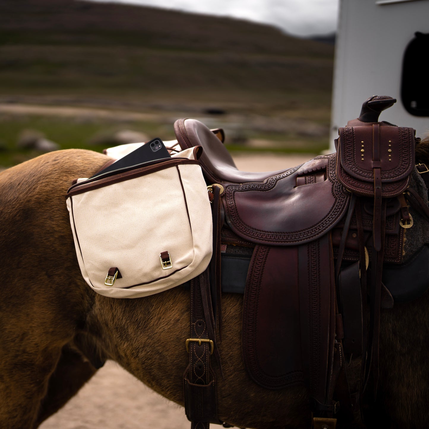 Canvas Saddlebags