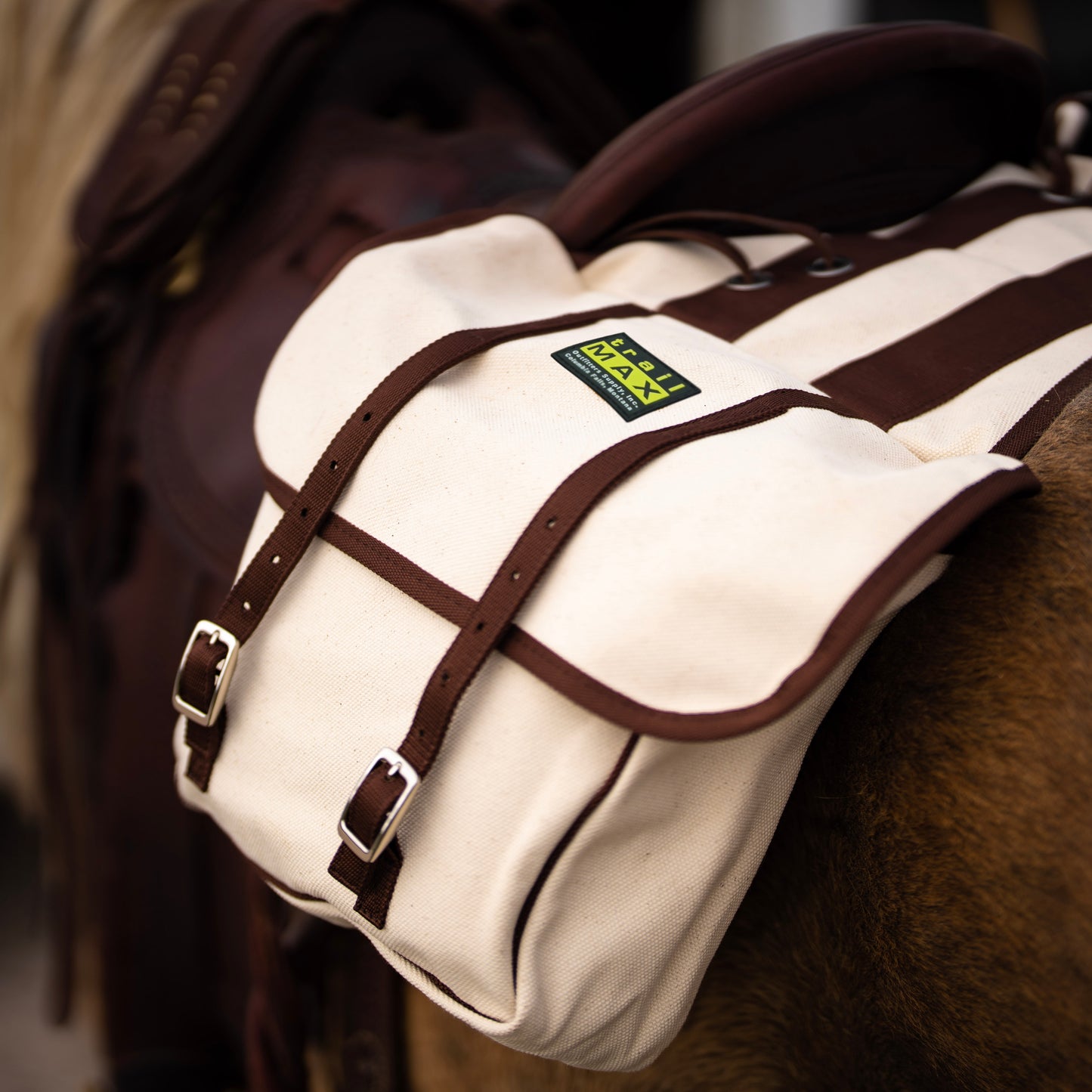 Canvas Saddlebags