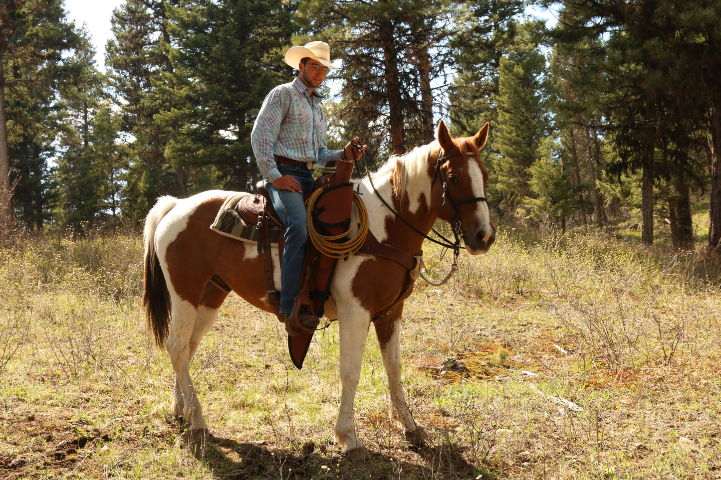 Man on horse with TrailMax Protector Rifle Scabbard attached to saddle.