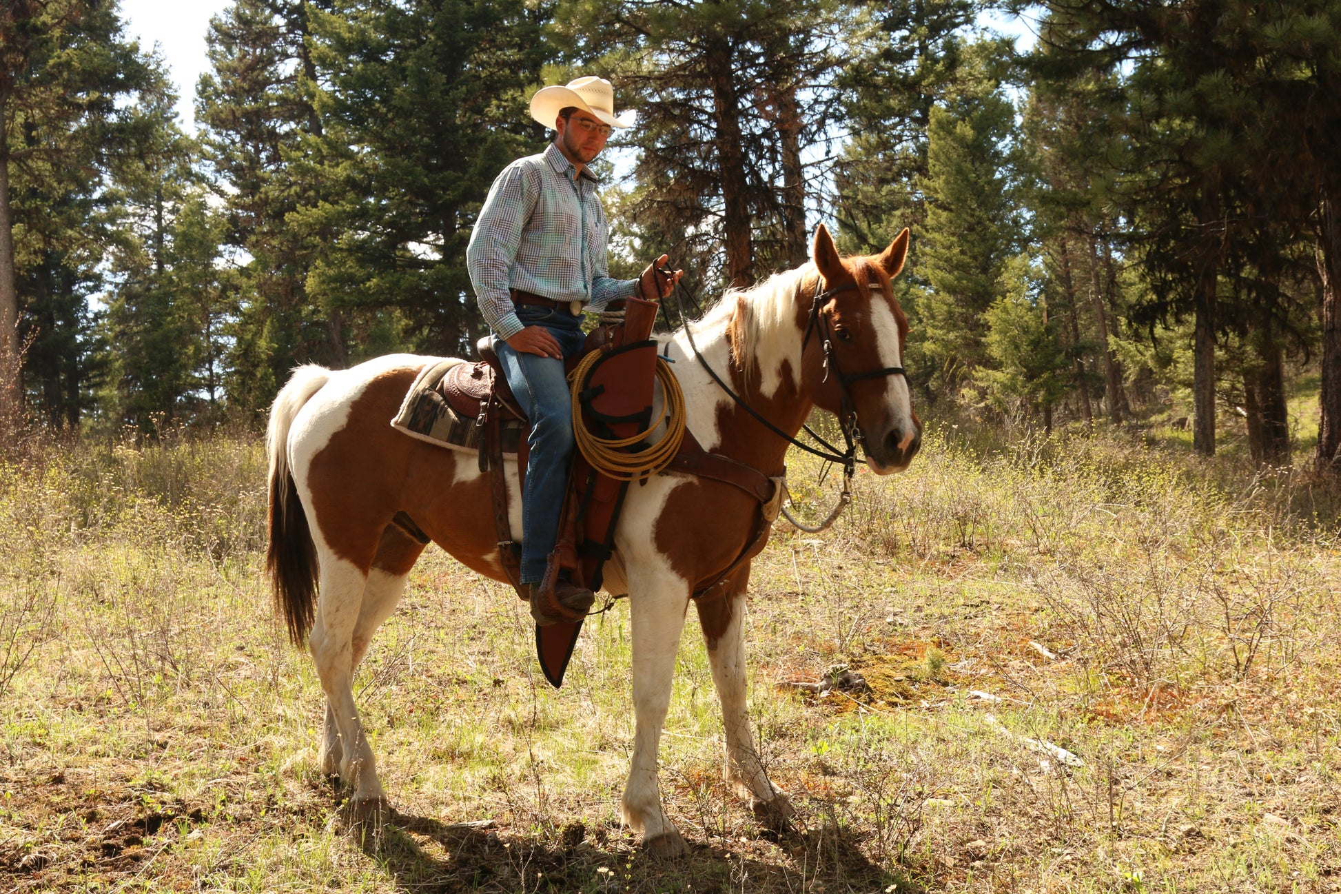 Man on horse with TrailMax Protector Rifle Scabbard attached to saddle.