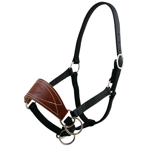 Mule Halter