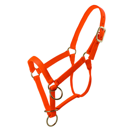 Packer's Halter (Multiple Colors)
