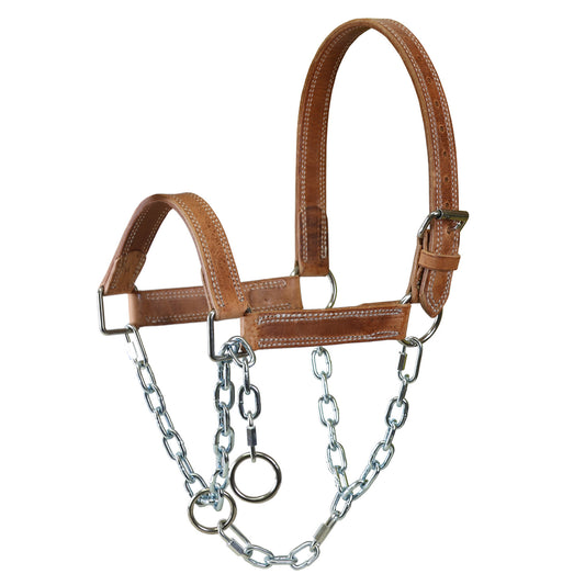 Hermann Oak Harness Leather Mule Halter with Draw Chain