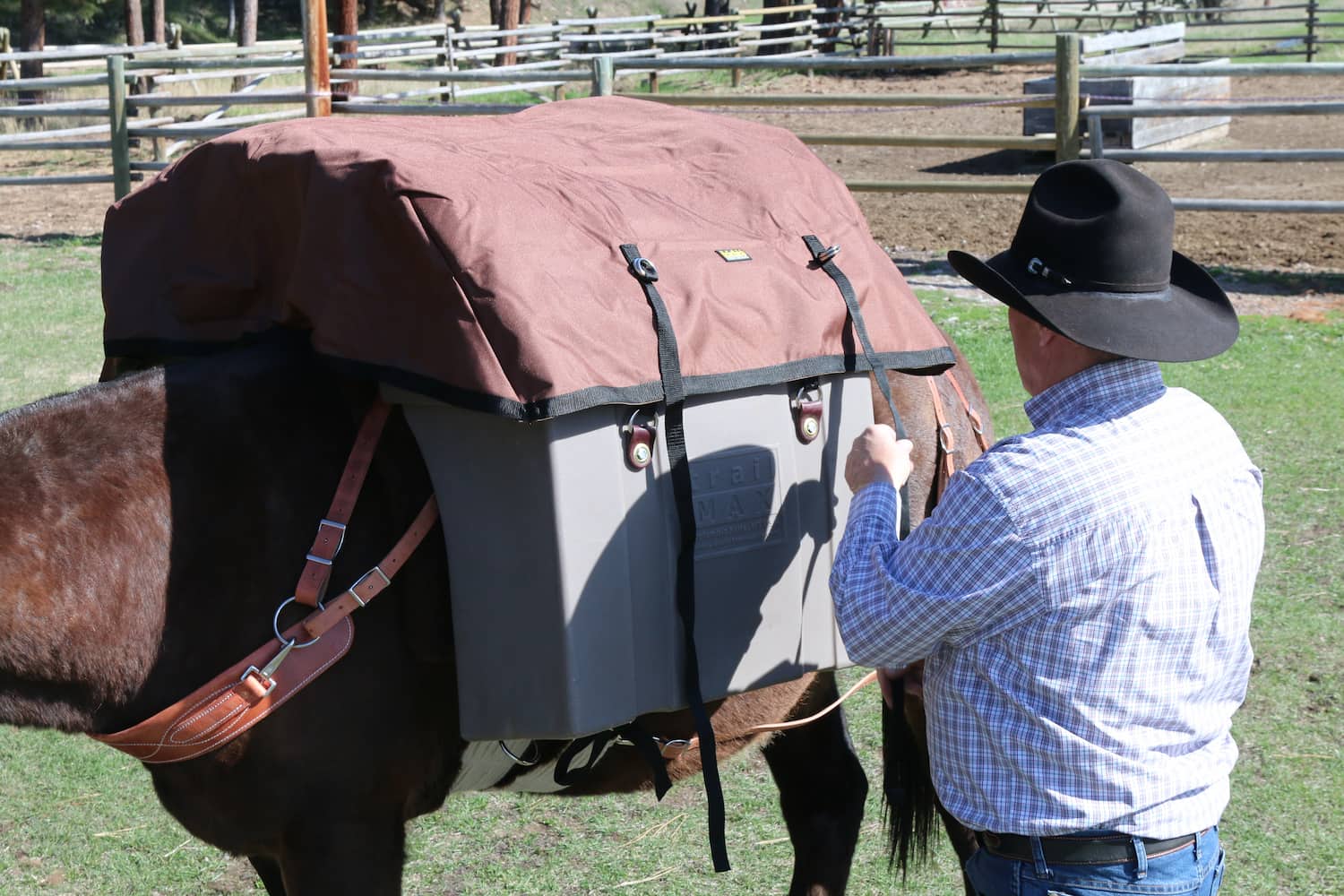 A man cinching down straps on a TrailMax Top Pack Rain Cover on a mule